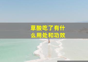 草酸吃了有什么用处和功效