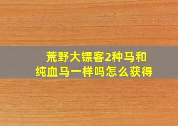 荒野大镖客2种马和纯血马一样吗怎么获得