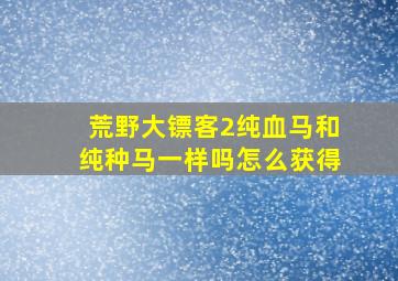 荒野大镖客2纯血马和纯种马一样吗怎么获得