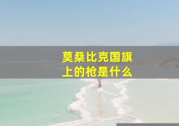 莫桑比克国旗上的枪是什么