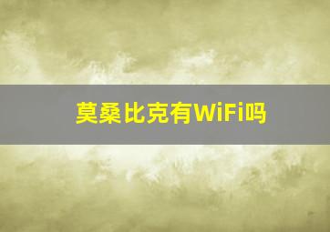 莫桑比克有WiFi吗