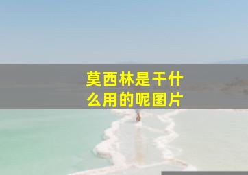 莫西林是干什么用的呢图片