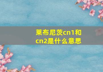 莱布尼茨cn1和cn2是什么意思