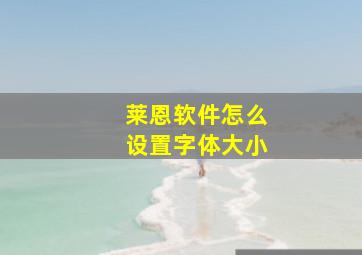 莱恩软件怎么设置字体大小