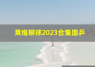 莱维聊球2023合集国乒