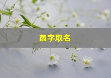 菡字取名