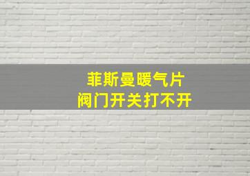 菲斯曼暖气片阀门开关打不开