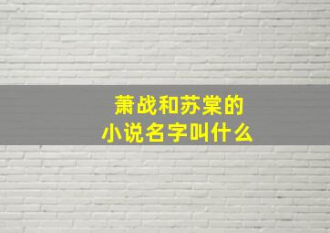 萧战和苏棠的小说名字叫什么