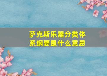 萨克斯乐器分类体系纲要是什么意思