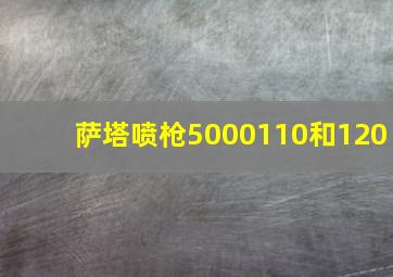 萨塔喷枪5000110和120