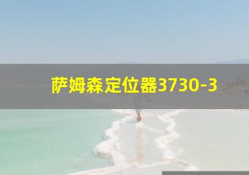 萨姆森定位器3730-3