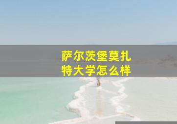 萨尔茨堡莫扎特大学怎么样