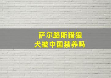 萨尔路斯猎狼犬被中国禁养吗