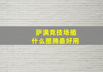 萨满竞技场插什么图腾最好用