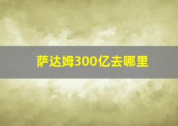 萨达姆300亿去哪里