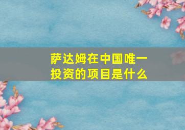 萨达姆在中国唯一投资的项目是什么