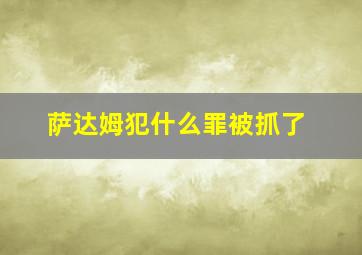 萨达姆犯什么罪被抓了