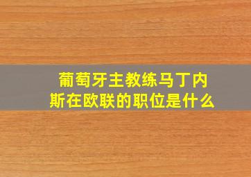 葡萄牙主教练马丁内斯在欧联的职位是什么