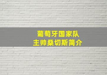 葡萄牙国家队主帅桑切斯简介