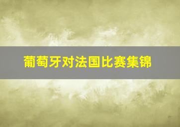 葡萄牙对法国比赛集锦