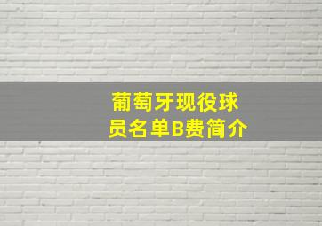 葡萄牙现役球员名单B费简介