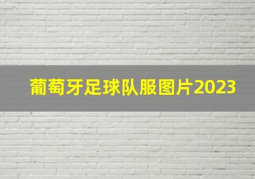 葡萄牙足球队服图片2023