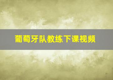 葡萄牙队教练下课视频