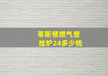 蒂斯顿燃气壁挂炉24多少钱