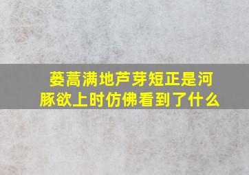 蒌蒿满地芦芽短正是河豚欲上时仿佛看到了什么