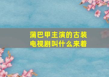 蒲巴甲主演的古装电视剧叫什么来着