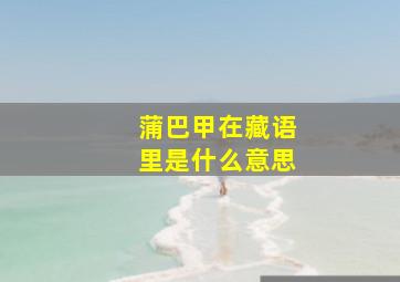 蒲巴甲在藏语里是什么意思