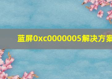 蓝屏0xc0000005解决方案