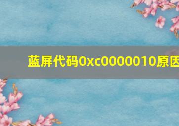 蓝屏代码0xc0000010原因