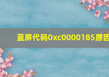 蓝屏代码0xc0000185原因