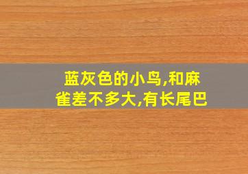 蓝灰色的小鸟,和麻雀差不多大,有长尾巴