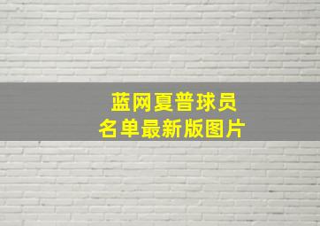 蓝网夏普球员名单最新版图片