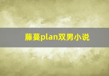 藤蔓plan双男小说