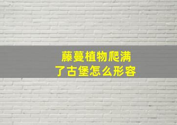 藤蔓植物爬满了古堡怎么形容