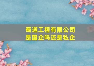 蜀道工程有限公司是国企吗还是私企