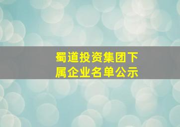 蜀道投资集团下属企业名单公示