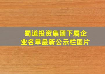 蜀道投资集团下属企业名单最新公示栏图片