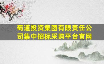 蜀道投资集团有限责任公司集中招标采购平台官网