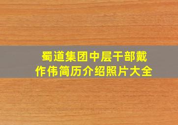 蜀道集团中层干部戴作伟简历介绍照片大全