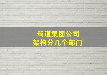 蜀道集团公司架构分几个部门