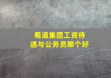 蜀道集团工资待遇与公务员哪个好