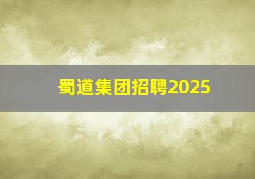 蜀道集团招聘2025