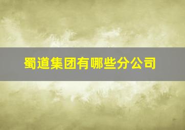 蜀道集团有哪些分公司