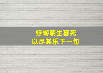 蜉蝣朝生暮死以尽其乐下一句