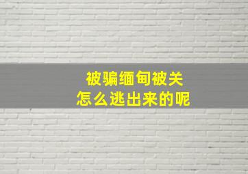 被骗缅甸被关怎么逃出来的呢