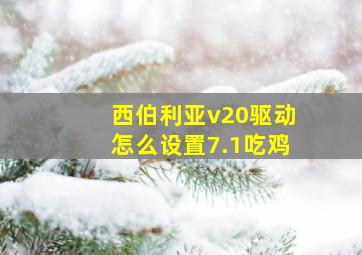 西伯利亚v20驱动怎么设置7.1吃鸡